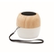 5.0 Wireless Lautsprecher