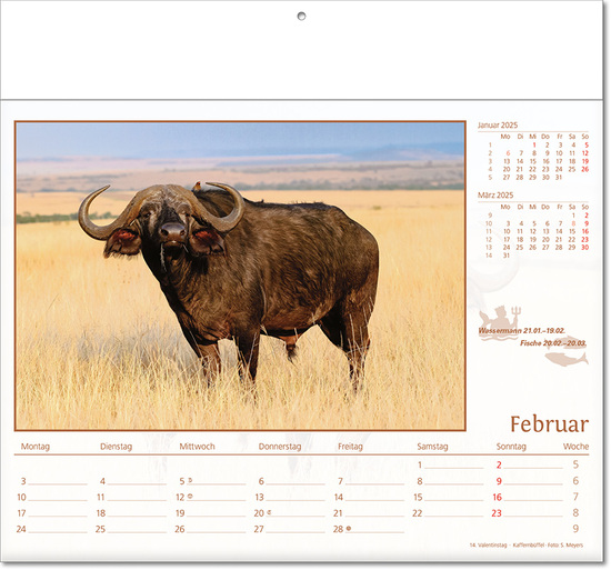 Kalender "Tierwelt" im Format 30 x 28 cm, mit Fälzel