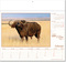 Kalender "Tierwelt" im Format 30 x 28 cm, mit Fälzel