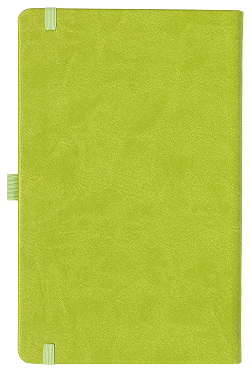 Notizbuch Style Medium im Format 13x21cm, Inhalt blanco, Einband Slinky in der Farbe Lime