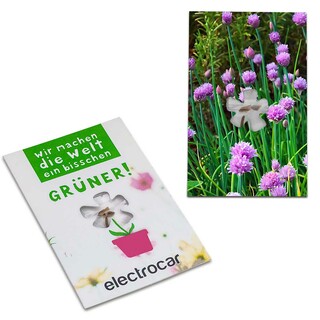 Samen-Karte-Mini Blume - Schnittlauch