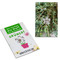 Samen-Karte-Mini Blume - Thymian