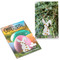 Samen-Karte-Mini Ostern - Thymian