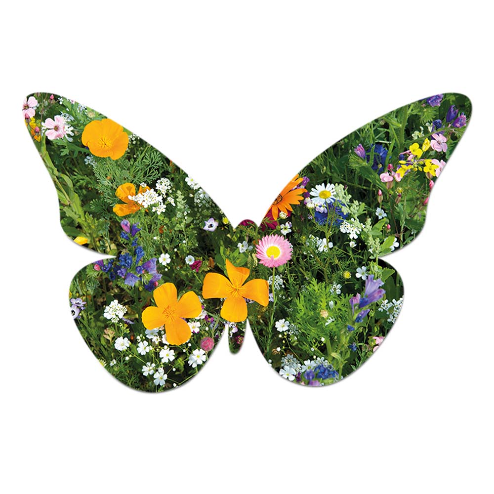 Samenpapier in Klappkärtchen Blume - Schmetterling