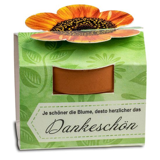 Tontöpfchen-Blume mit Samen - Vergissmeinnicht