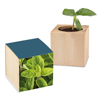 Pflanz-Holz mit Samen - Majoran, 2 Seiten gelasert