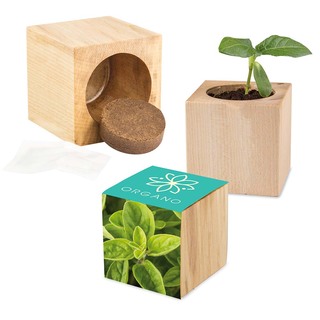 Pflanz-Holz Maxi mit Samen - Majoran, 1 Seite gelasert