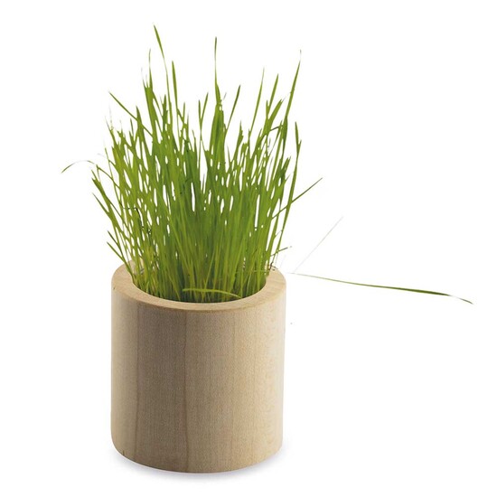 Pflanz-Holz rund mit Samen - Persischer Klee