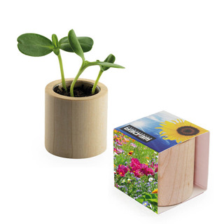 Pflanz-Holz rund mit Samen - Sommerblumenmischung