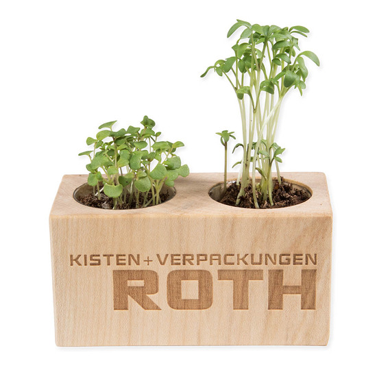 Pflanz-Holz 2er Set mit Samen - Thymian, 2 Seiten gelasert