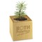 Pflanz-Holz Star-Box mit Samen - Sommerblumenmischung, 2 Seiten gelasert