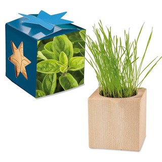 Pflanz-Holz Maxi Star-Box mit Samen - Majoran, 2 Seiten gelasert