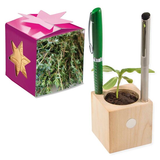 Pflanz-Holz Büro Star-Box mit Samen - Thymian, 1 Seite gelasert