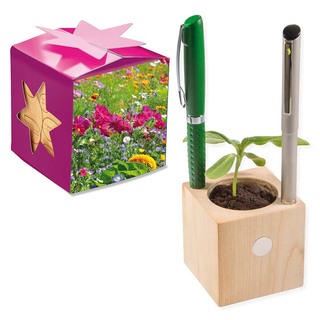 Pflanz-Holz Büro Star-Box mit Samen - Sommerblumenmischung, 2 Seiten gelasert