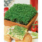 Pflanz-Holz Grande mit Samen - Gartenkresse