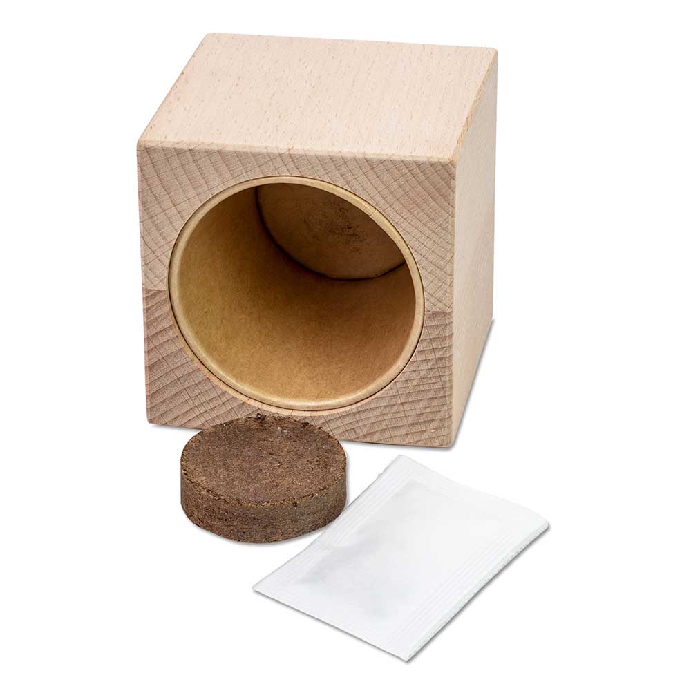 Pflanz-Holz Grande mit Samen - Gartenkresse, 2 Seiten gelasert