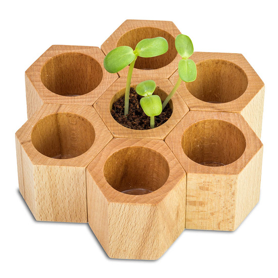 Pflanz-Holz Hexagon mit Samen - Sommerblumenmischung, 1 Seite gelasert