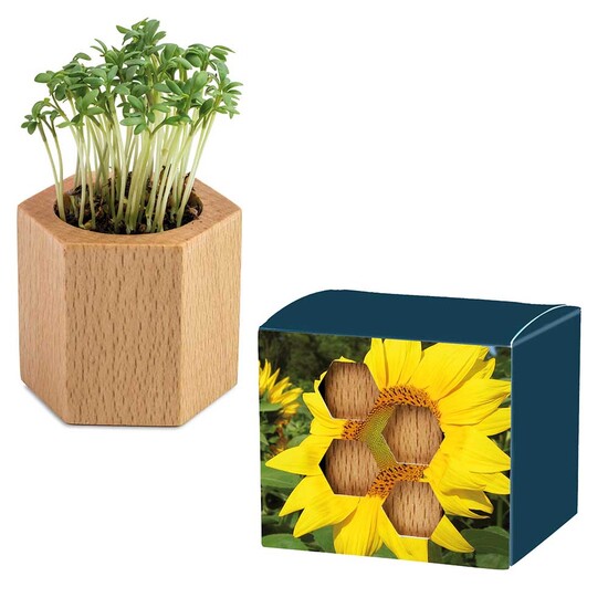 Pflanz-Holz Hexagon mit Samen - Sonnenblume, 1 Seite gelasert