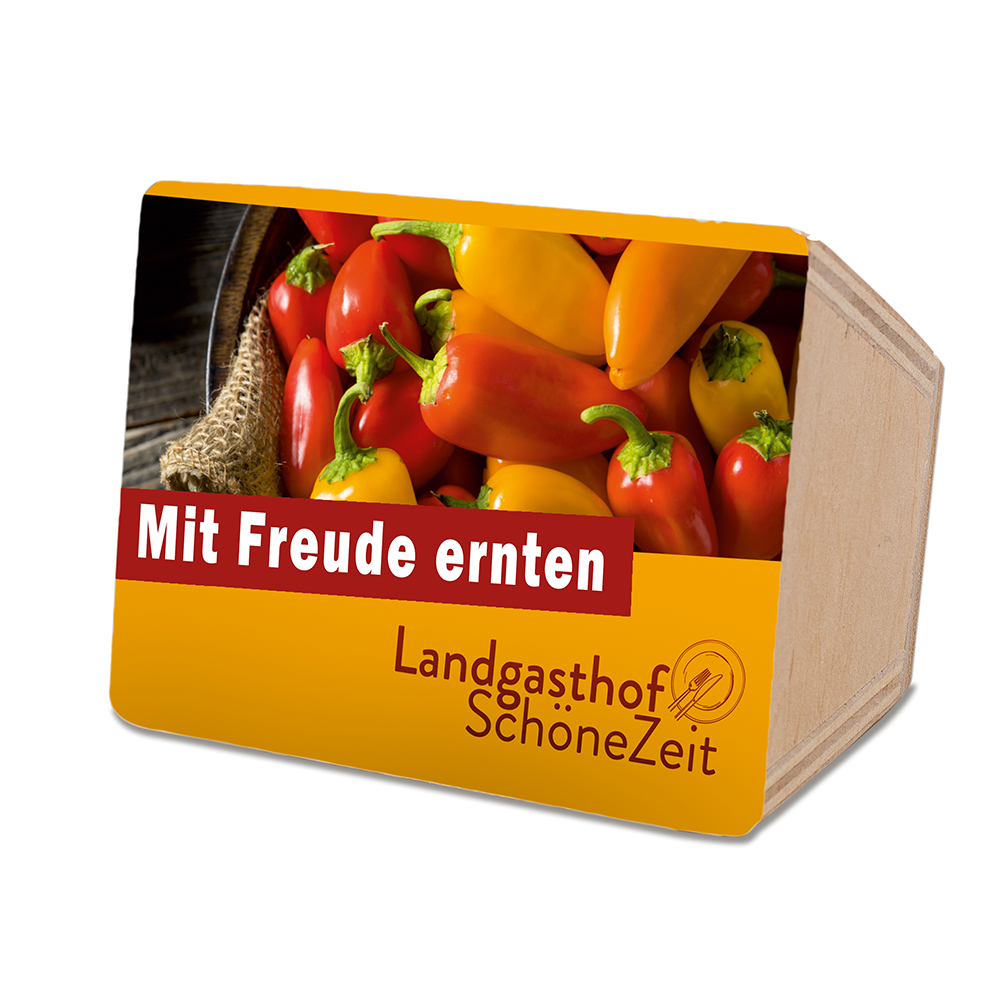 Mini-Beet mit Samen - Ringelblume