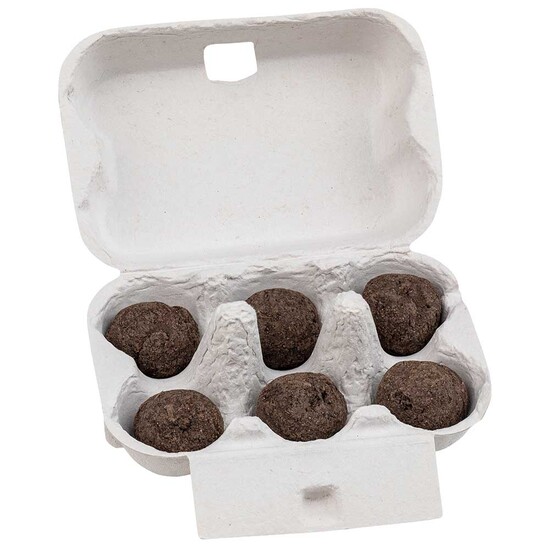 Sixpack - Flower-Balls Midi mit Samen mit Samen