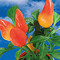 Samen-Briefchen - Gewürzpaprika