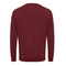 IQONIQ Zion Rundhals-Sweater aus recycelter Baumwolle
