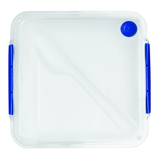 Lunchbox DELICIOUS 56-0306024