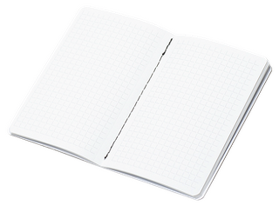 MINDNOTES Notizheft FSC im Taschenformat