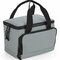 BG288 Recycled Mini Cooler Bag