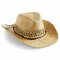 Straw Cowboy Hat