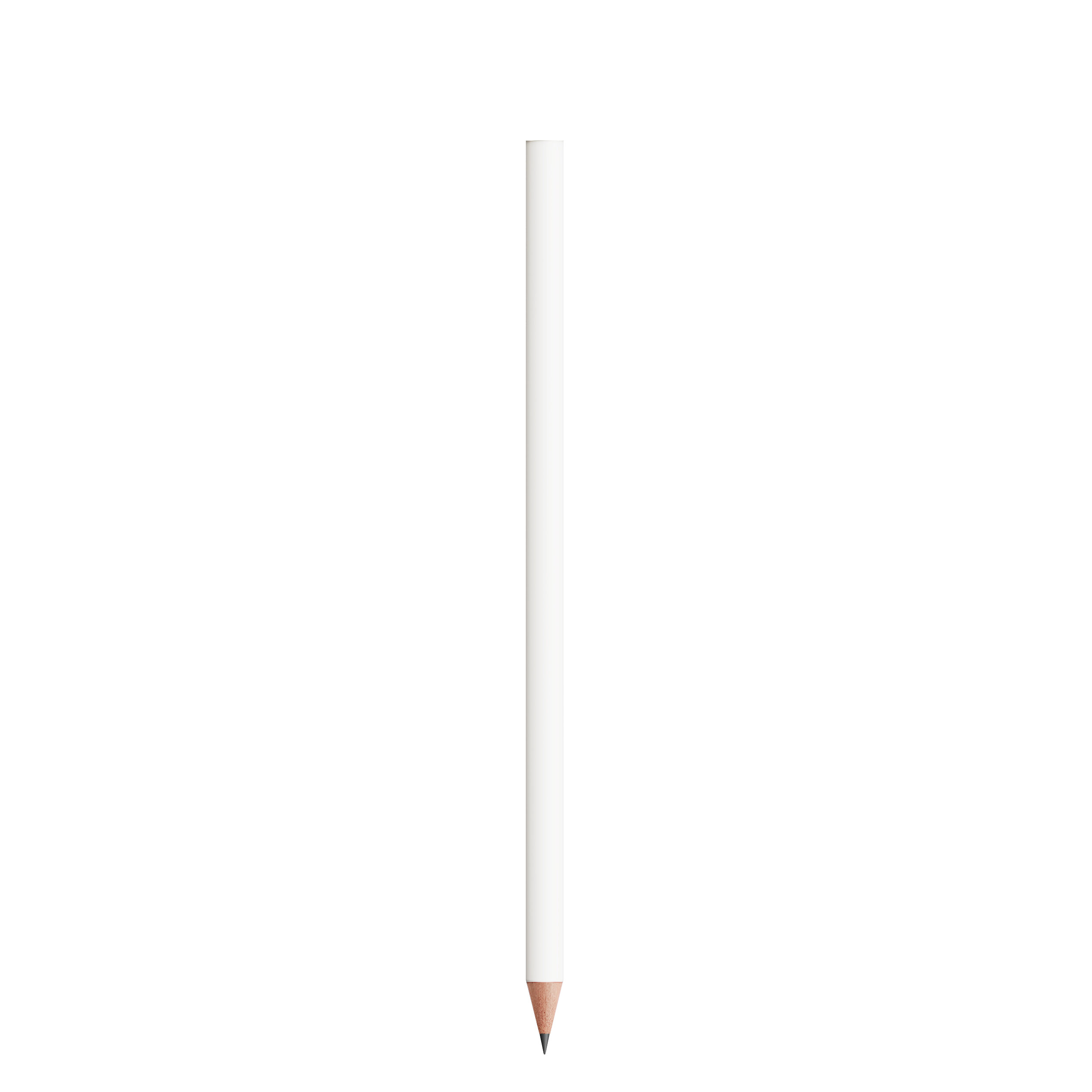 BIC® Evolution® Ecolutions® Cut Bleistift