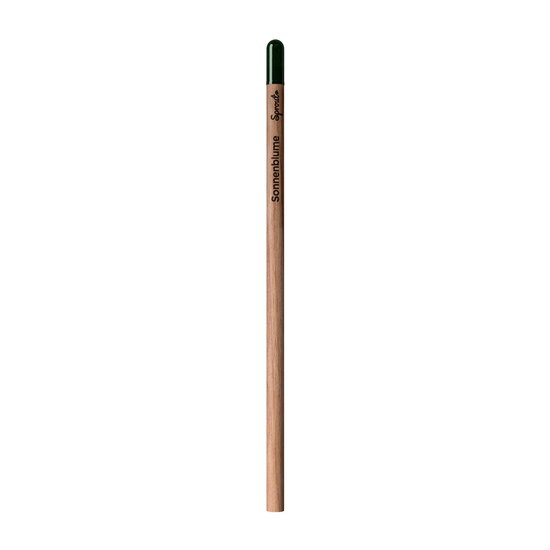 Sprout | Pencil